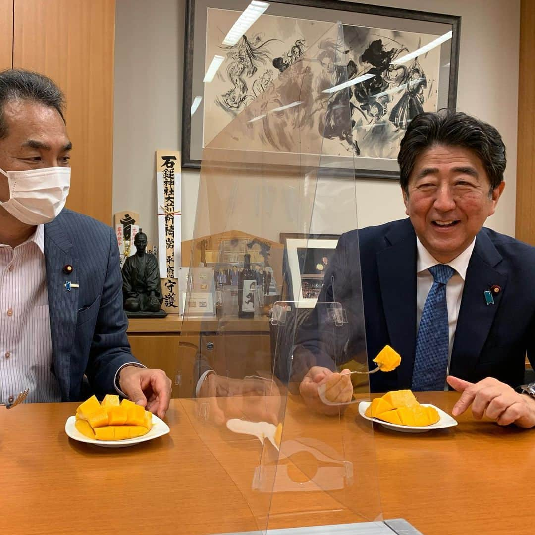 安倍晋三のインスタグラム：「安倍政権で農水大臣を務め、農水産物輸出拡大、生産者の収入増に尽力した江藤拓議員が地元宮﨑の完熟マンゴーを持って事務所を訪ねてくれました。 もちろんジューシー。さすが日本が誇る最高級品です。  #宮崎マンゴー #ジューシー」