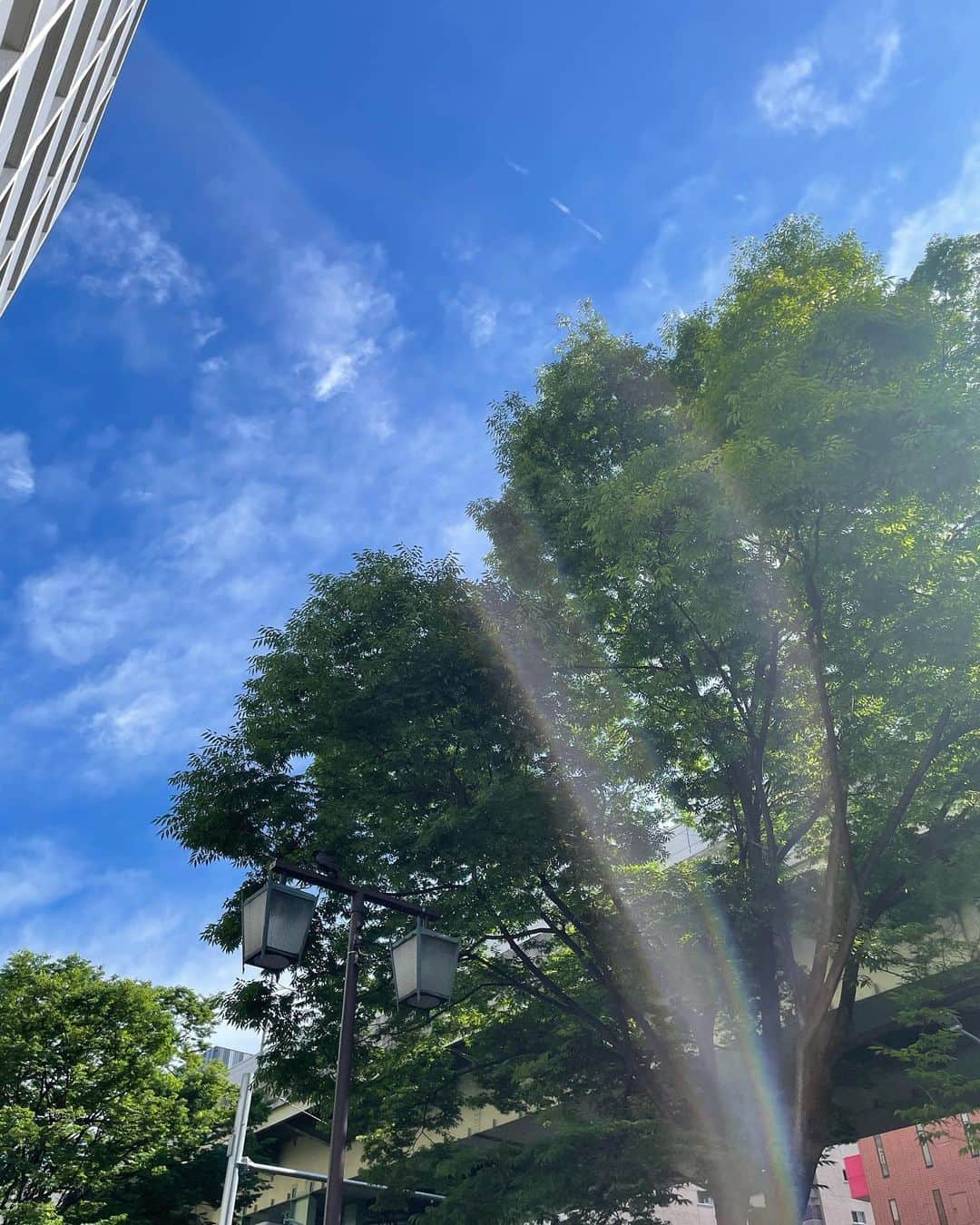 倉地美晴さんのインスタグラム写真 - (倉地美晴Instagram)「・ 梅雨のおかげで束の間の青空がこんなにもウキウキする🌞☔️🌈☁️  #梅雨 #梅雨の晴れ間」5月18日 9時34分 - miharu_kurachi