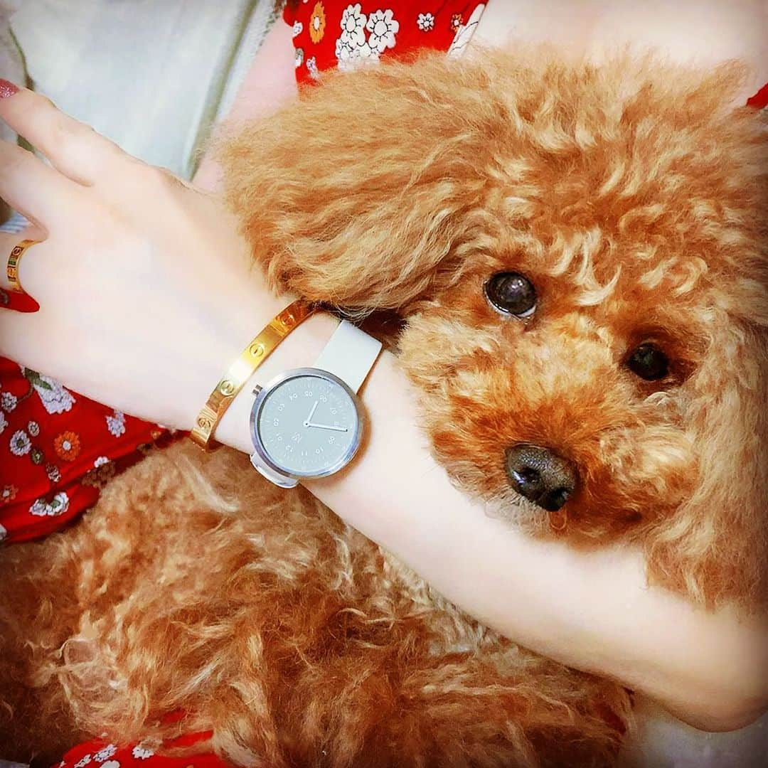 椿京子さんのインスタグラム写真 - (椿京子Instagram)「Happy Monday lovelies ♥️ My special watch ⌚️✨ 🌟 こんばんは〜(^_−)−☆💕 いよいよ５月🌻だね〜 愛あるいいね❤️と励まされるコメントに感謝の気持ちでいっぱいなの〜😆💕💕💕💕 🌟 レン🐶との撮影📸はね〜 オフホワイトの高級イタリアンレザーベルトの時計⌚️がね〜 @mavenjapan  マベンウォッチズの時計⌚️でね〜(๑˃̵ᴗ˂̵)💕 🌟 スタイリッシュなシリーズの時計⌚だからね〜 ブレスレットなどのアクセサリーと重ね付けが オシャレにマッチしてくれるの〜😍 🌟 10%OFFクーポンコード👉【kyokodo28】 🌟 連休にレン🐶や家族とステキな時間がつくれて癒されちゃったの〜🙈💕 🌟 今日も見てくれてありがとうね〜🥰 5月🌻もどうぞよろしくお願いします〜♥️ どうか想いがとどく1日🌺になりますように😘 🌟 #マベン#マベンウォッチズ #時計 #腕時計#mavenwatches　#ギフト #プレゼント #母の日  #カルティエ　#cartier #mypet🐶 #thankyoueveryone  #loveeveryone  #onlyyou 😘」5月3日 20時03分 - kyoko_tubaki