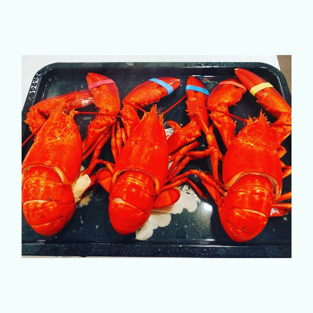 神田うのさんのインスタグラム写真 - (神田うのInstagram)「My husband cooked dinner for the first time in a while.😍🙆‍♀️ And my daughter was surprised by the living lobsters before they were cooked❣️🤣 Anyway,I'm sooooo glad to that my husband be able to cook again like this❣️  #stayhome#ステイホーム#suppermadebymylove#dinnermadebymylove#主人が作ってくれた#お夕食#お夕飯#steamedlobster#steamed#lobster#lobsters#dinnerathome#dinner#unokanda#神田うの」5月3日 22時51分 - unokandaofficial