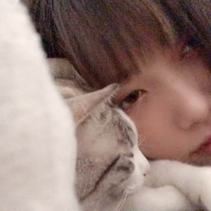 阿知波妃皇のインスタグラム：「あいしてる」