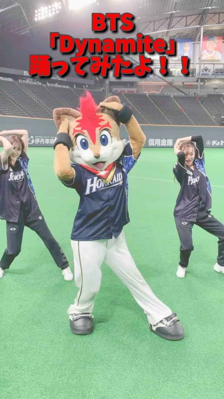 北海道日本ハムファイターズ フレップのインスタグラム