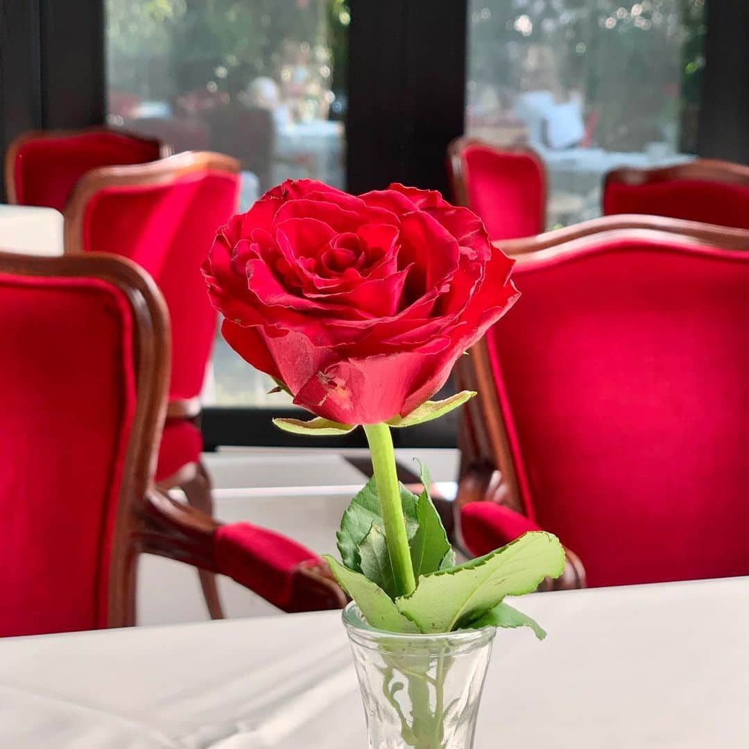 吉川ちかのグルメインスタ