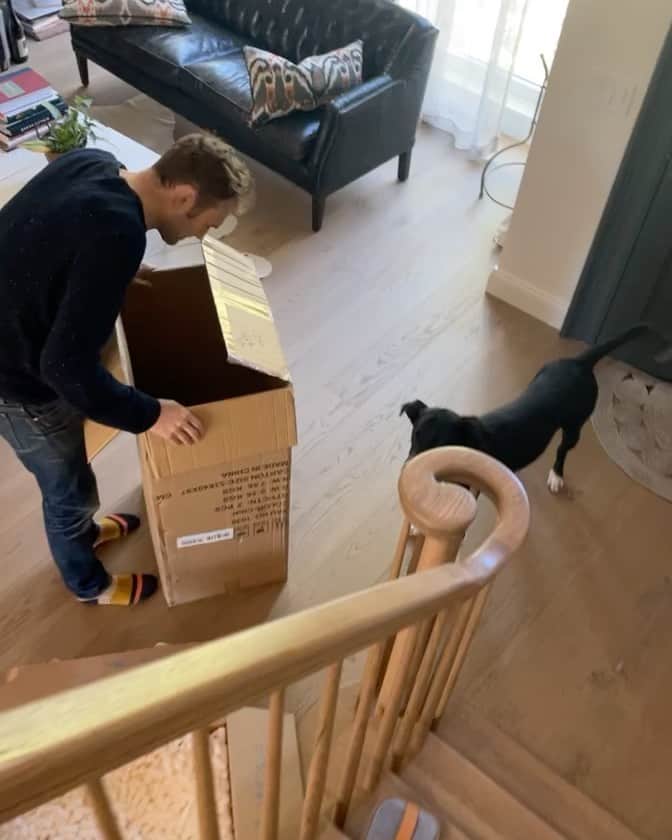 クレア・コフィーのインスタグラム：「do we still call it a pandemic puppy? #unboxing」