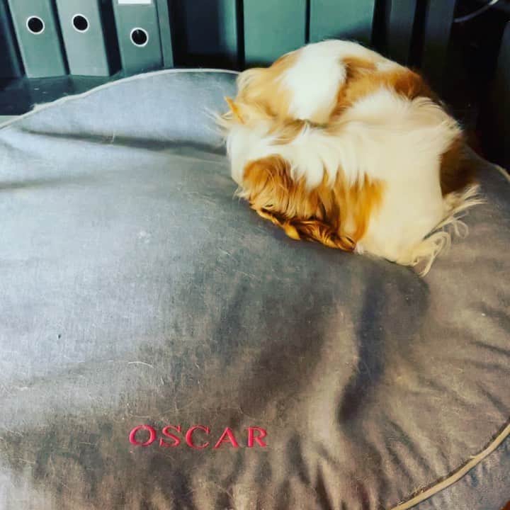 藤沢文翁のインスタグラム