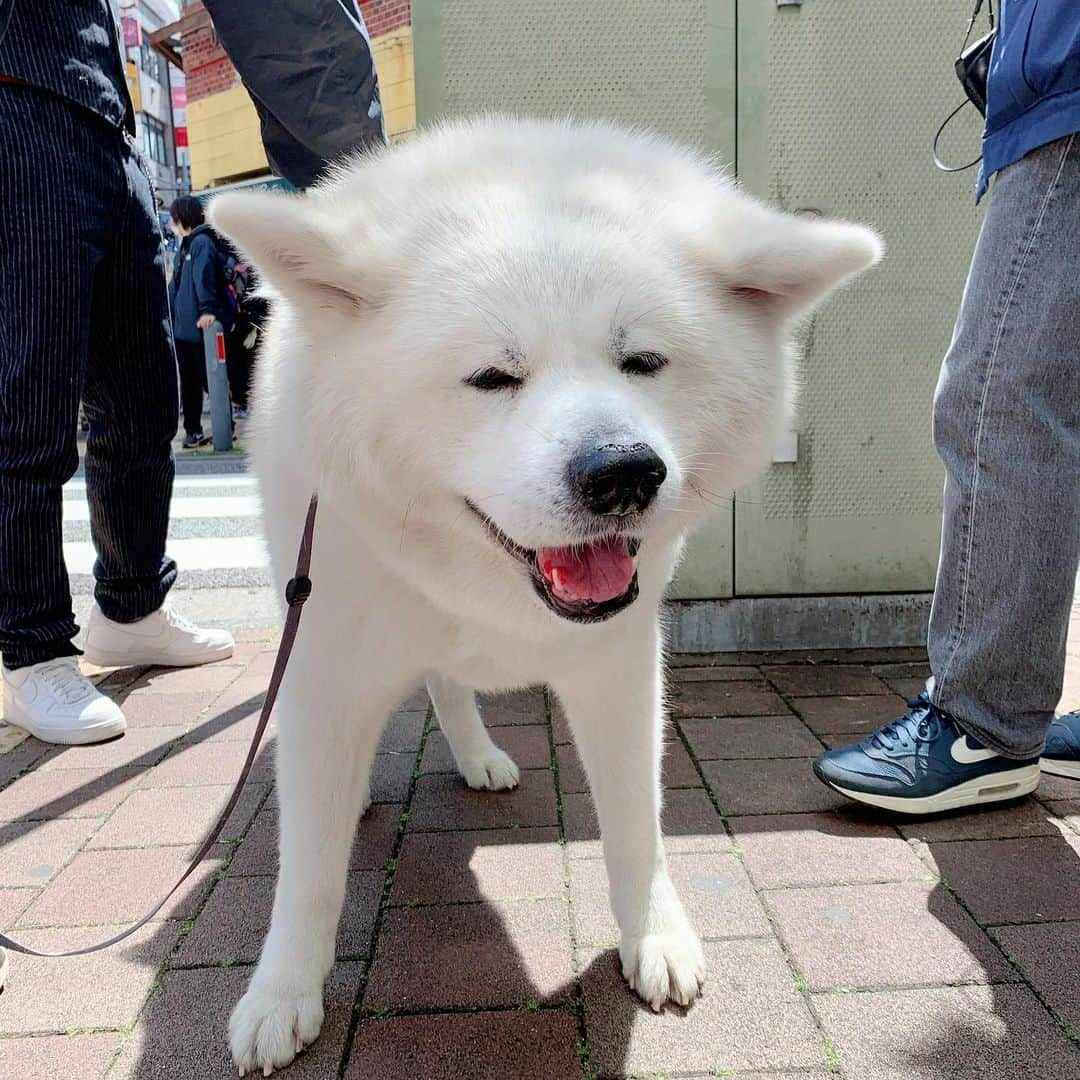 ネメシスのインスタグラム