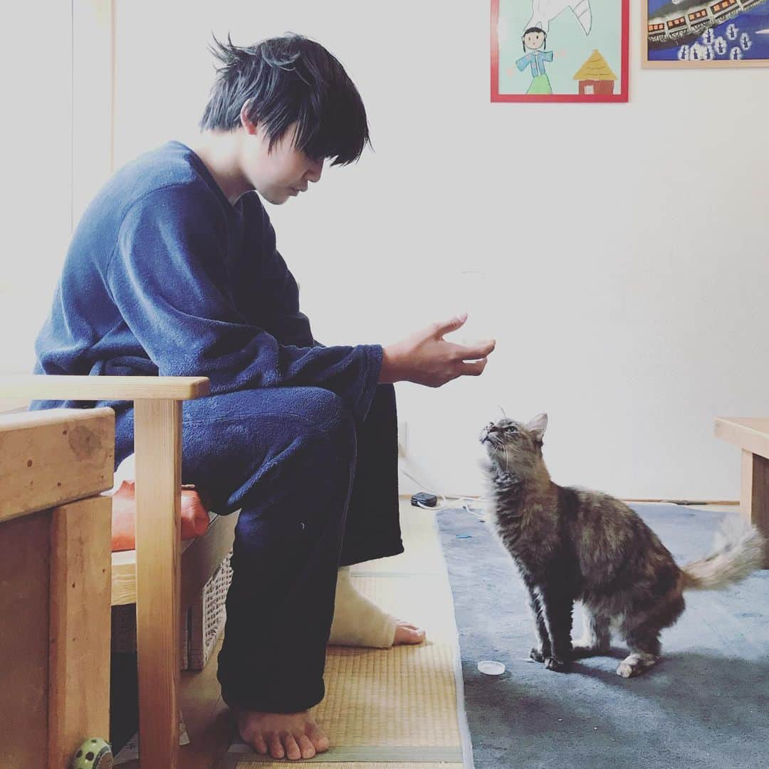 makicocomoさんのインスタグラム写真 - (makicocomoInstagram)「牛乳大好きモモ。 誰かが瓶を飲み始めると、おねだりがすごいです😹 見てないうちに瓶に手を突っ込んでペロペロしてました。  自粛期間は遊びに出かけられず、でも、子ども達にとって子ども時代の貴重な時間がただ過ぎて行くことにだけはしたくないなと思ってしまいます。 少しでも意義ある期間になるといいな。  この試合がない期間に、廉太郎のケガも早く治りますように…🥴」5月4日 22時20分 - makicocomo