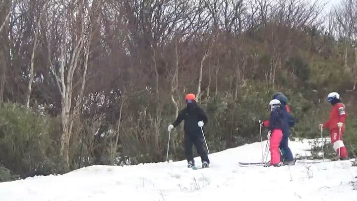 堀島行真のインスタグラム：「Spring bumps 🤑」