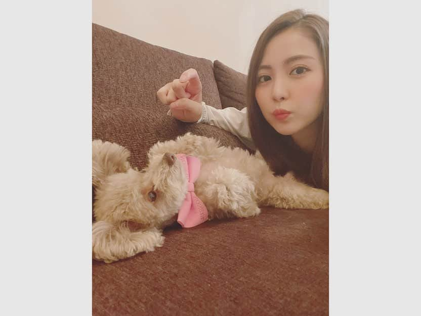 石川恋さんのインスタグラム写真 - (石川恋Instagram)「day off✌︎GW✌︎✌︎ ちぇるとごろごろしてます〜〜🐶🌈 皆さんいかがお過ごしですか？ #Chelsea #チェルシー #ちぇるちぇる」5月4日 17時22分 - ren_ishikawa