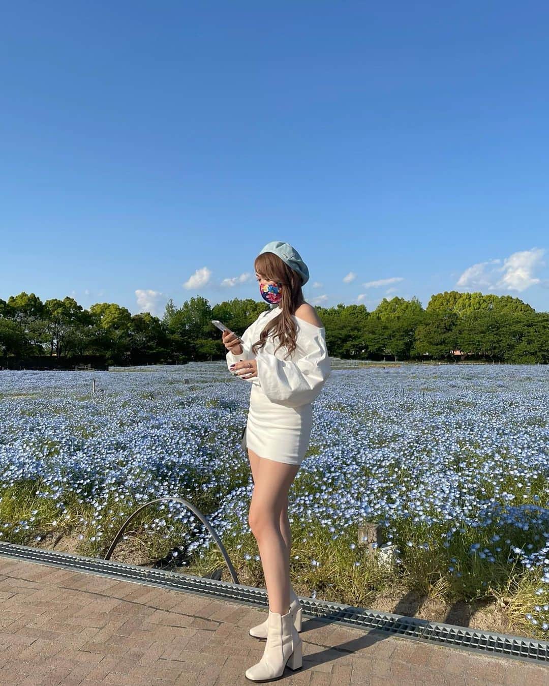 さなべいびーのインスタグラム：「ℕ𝕖𝕞𝕠𝕡𝕙𝕚𝕝𝕒ꕤ*.ﾟ」