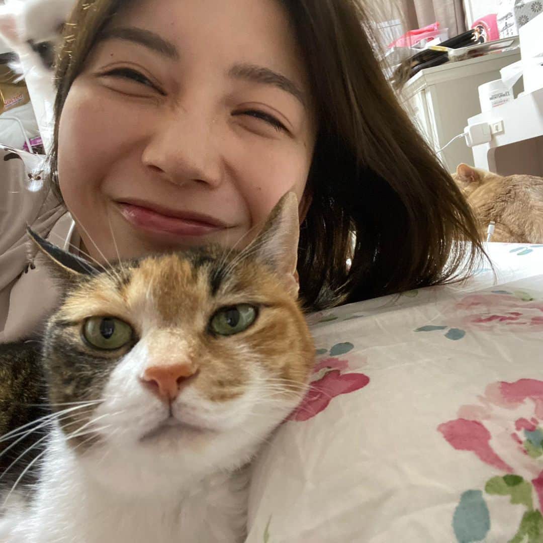 小倉優香さんのインスタグラム写真 - (小倉優香Instagram)「この前行った友達の家が動物園だった写真。 ここに猫ちゃんもう一匹とうちのリリちゃんもいて幸せ空間でした。 1番手前のムーンちゃんは普段は人嫌いらしいのですが私にベタベタでした 見る目があるなぁおぬし😚 その表情も好きよ  #小倉ゆうか #猫のいる暮らし  #イタグレ #チワワ #お泊り」5月4日 20時25分 - ogurayuka_official
