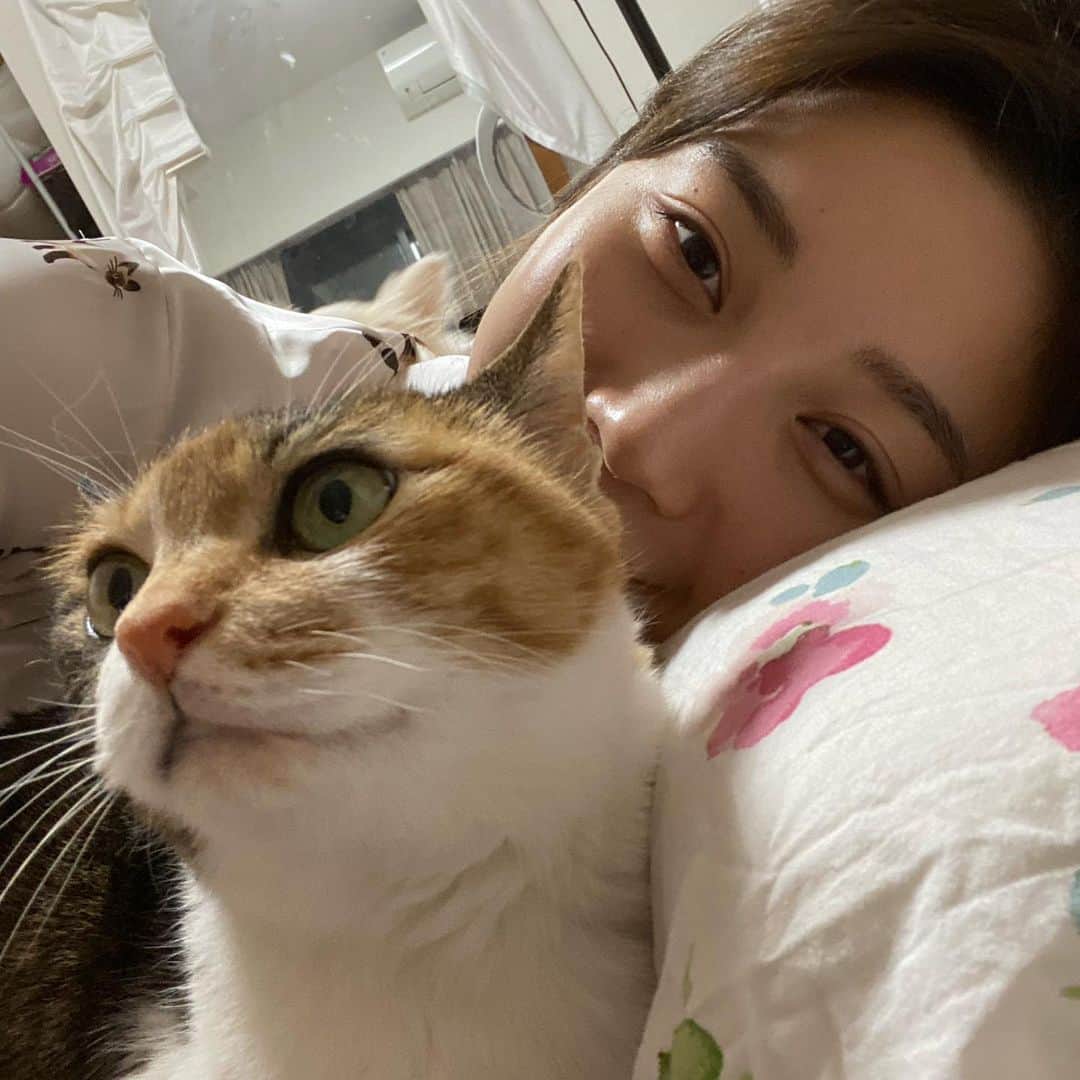 小倉優香さんのインスタグラム写真 - (小倉優香Instagram)「この前行った友達の家が動物園だった写真。 ここに猫ちゃんもう一匹とうちのリリちゃんもいて幸せ空間でした。 1番手前のムーンちゃんは普段は人嫌いらしいのですが私にベタベタでした 見る目があるなぁおぬし😚 その表情も好きよ  #小倉ゆうか #猫のいる暮らし  #イタグレ #チワワ #お泊り」5月4日 20時25分 - ogurayuka_official
