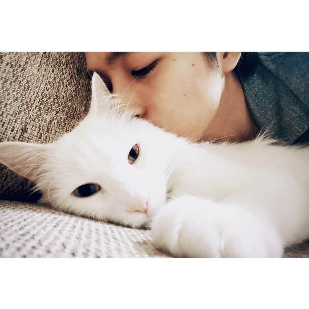和田颯のインスタグラム：「シエルさん5歳になりました☺︎ 毎日凄い支えられてるな〜 いつもありがとう🖤 健康で元気でいてくれよ！！」