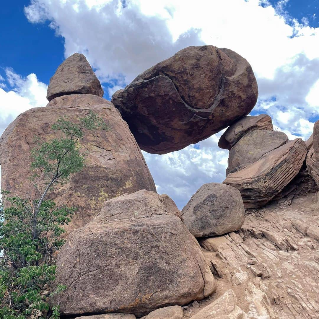 佐藤唯さんのインスタグラム写真 - (佐藤唯Instagram)「Big bend national park🌵🌼 花がとっても綺麗な季節です🥰 ・ #テキサス生活 #オースティン#ビッグベン国立公園 #texas🇨🇱 #bigbendnationalpark #beautifulnature #cuctasflower #balancerock」5月5日 0時30分 - y3u2i9