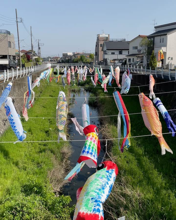 Soweluのインスタグラム：「Happy Children's day🎏  世界中の子供たちが 安心して、おもいっきり笑って たくさんの楽しい時間を過ごせる 日々になりますように🙏💓  Praying for All the Children around the world to be surrounded with Lots of Love, Laughter and Happiness✨🙏🌏🧚  数日前お散歩していたら たくさんの鯉のぼりたちを見つけて 思わずテンション上がりました！ 久しぶりだったなぁ 鯉のぼりをちゃんと見るの☺️  やっぱり素敵✨  #koinobori  #carpstreamer  #japan #traditional  #childrensday #鯉のぼり」