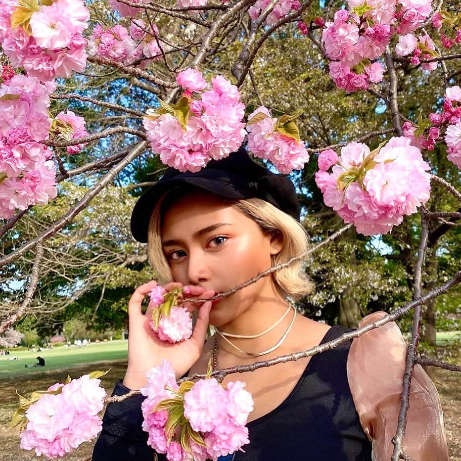 Candy さんのインスタグラム写真 - (Candy Instagram)「そろそろ飽きたとか言わないで🥺❤️   #桜　#桜舞い散る中に忘れた記憶と君の声が戻ってくる」5月5日 12時31分 - candyme_miyoann