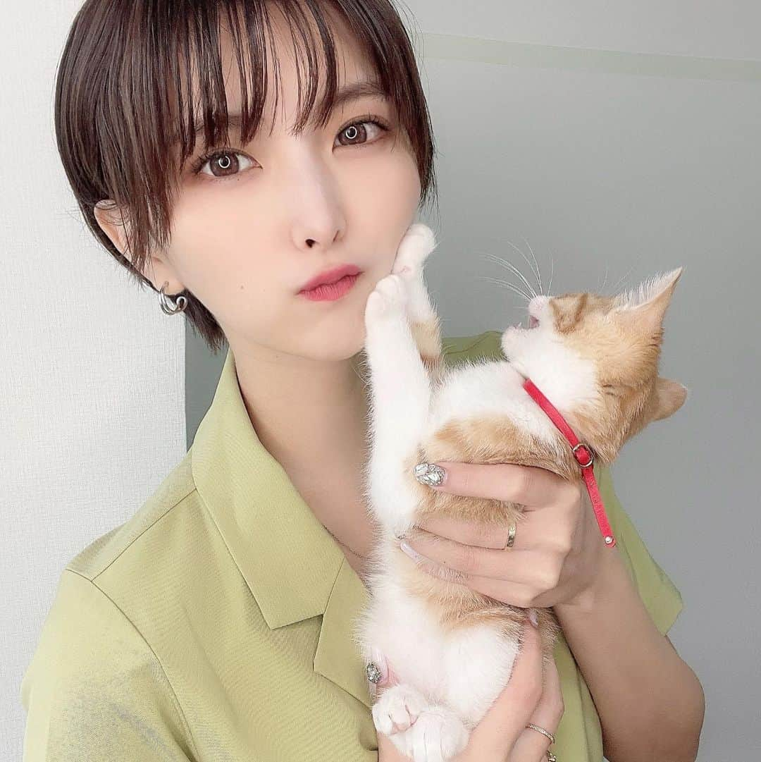 ききまるさんのインスタグラム写真 - (ききまるInstagram)「そんな嫌がらなくても。 . .  🐈🐈🐈🐈🐈🐈🐈 . 2021.01.01、縁起のいい日に生まれた女の子です🚺❤️ 毎日投稿してるので是非フォローしていただいて成長を見守っていただければと思います🤲🏻 . 🐈🐈🐈🐈🐈🐈🐈 . #茶トラ女子部 #子猫のいる生活　#子猫里親 #子猫のいる生活 #子猫成長記録 #子猫部 #子猫育て #保護猫 #保護猫と暮らす #保護猫を家族に #保護猫出身 #保護猫から家族 #茶トラ #茶トラ猫 #茶トラ白 #茶トラ女子 #茶トラ　#にゃんこ　#にゃんこ部 #にゃんこlove #にゃんこすたぐらむ　#猫の日 #猫のいる暮らし #猫好きさんと繋がりたい #kitty #kittys #cats #catlover」5月5日 12時50分 - kikigram_97