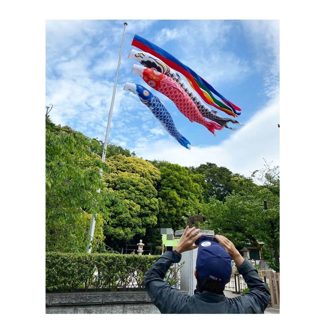 のインスタグラム：「今日は子供の日。 朝散歩。 撮影まま。  #朝散歩 #子供の日 #こいのぼり #ヒロミ #松本伊代」