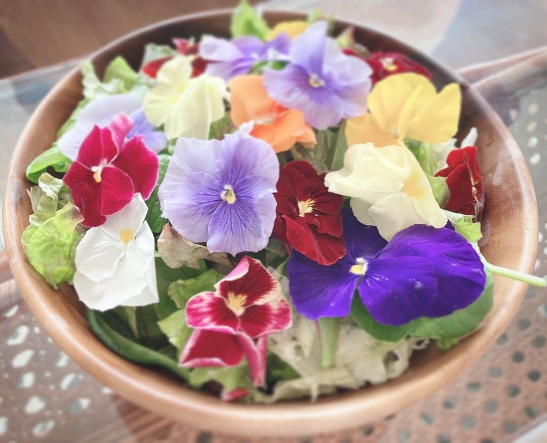 明星優花さんのインスタグラム写真 - (明星優花Instagram)「華やかなおうちサラダ🥗🤩💕  #サラダ #ヘルシー #野菜 #花 #flower #おうちごはん #インスタ映え #女子力 #女子力アップ  #女子力向上委員会  #女子力高め  #女子力あげたい  #可愛い #diet  #ビジョラダ #インフルエンサー」5月5日 18時01分 - yuka1219yuka