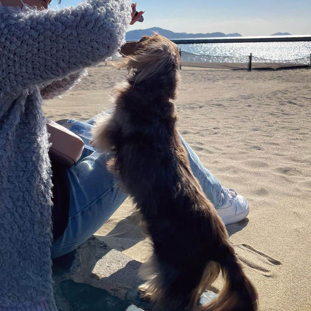 松田紗和さんのインスタグラム写真 - (松田紗和Instagram)「ちゅちみが天国に旅立ってしまってから、毎日悲しい😢 カメラロールにある大量の写真動画を見返してばかり〜 全部愛おしい☺️ 大人しくて甘えん坊でほんま世界一可愛い またいつか会える日まで♡ ありがとう♡ らぶゆ。♡」5月5日 18時27分 - blueeeee.i