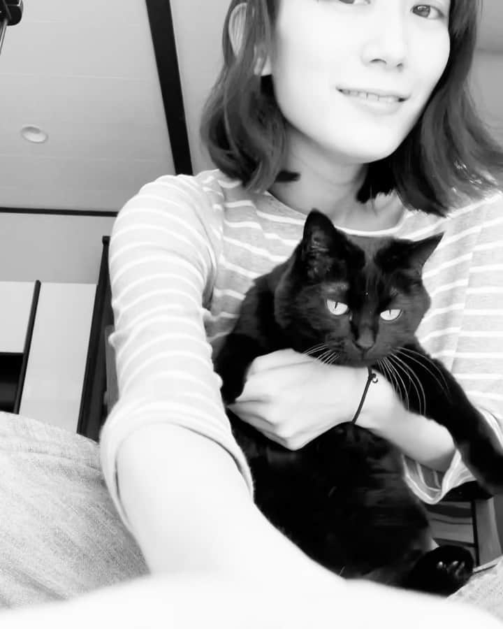 中田絢千のインスタグラム：「5/5は愛猫、びじゅさんの誕生日🐈‍⬛  くろい分身に愛を込めて。  少し前のこと、お腹にしこりのようなものを発見し あわてて病院へ連れていった。経過観察の結果大したものではなかった（よかった…！）けど、それからというもの、彼女を膝に抱えてお腹をぐるぐる〜となでる時間が増えた。  ネコっておもしろい。 めそめそしていると三匹がかわるがわるやってきて、なになに？どしたのー？と近づく子もいれば、遠巻きに心配そうに見つめてくる子も。余裕がないときは、ごろんとところ構わず寝そべられたり。。心の内がばれているとき、寄り添ってくれるのがネコたち。  その濁りのない、まっすぐな瞳にいつも救われてるよ。 8歳おめでとう！ラブユー！ #cat」