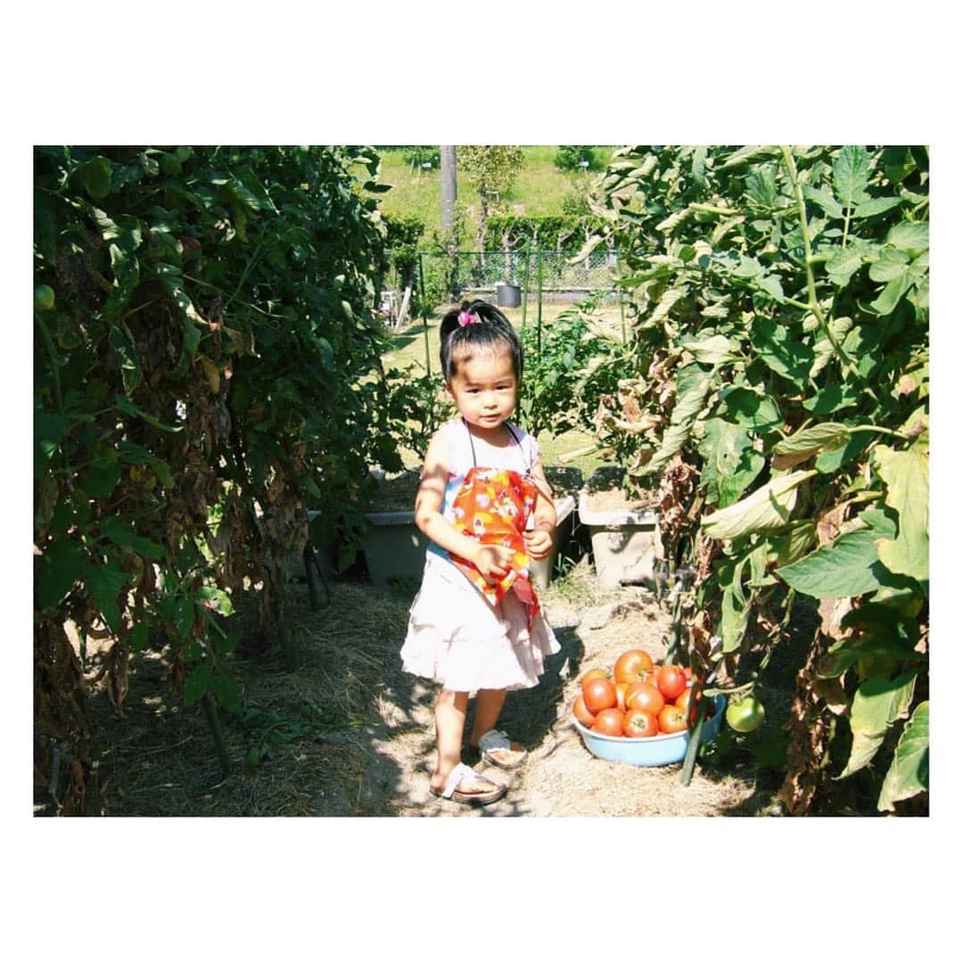 莉子さんのインスタグラム写真 - (莉子Instagram)「子供の日　🎏﻿ やはり、この時からトマト好きでした。。🍅」5月5日 19時31分 - riko_riko1204