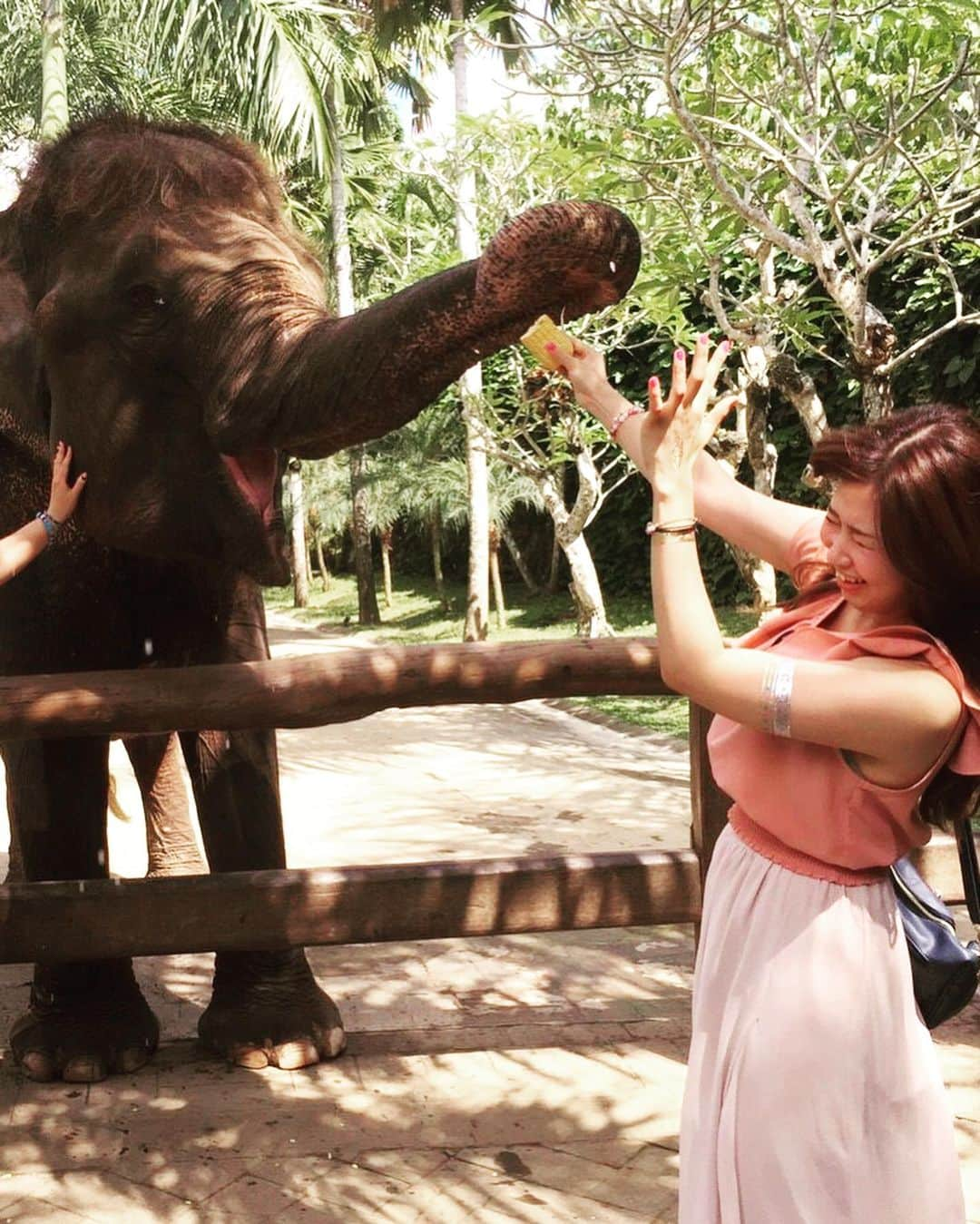 江原詩織さんのインスタグラム写真 - (江原詩織Instagram)「水曜日のダウンタウンを観ながらこんばんは🐵🌈  GWもせっせと働いていた私は、過去のアルバムを見て旅行気分に浸っていました✈️笑  ______________________  写真は5,6年前、バリ島で夢を叶えた日  動物の中でも1番と言っていいくらい大好きな象さん🐘 動物園に行ったら1番長く観ています✨  体も足も耳も大きいのに、つぶらで優しい瞳におちょぼ口の愛らしい見た目をしているところや  頭が良くて、唯一感情で涙を流す繊細な心を持っているところが大好きで、  幼い頃からずーっとその背中に乗るのを夢見ていましたっ  優しくて穏やかなアジア象  また会いに行きたいです◟̆◞̆♡  ______________________  私の幼い頃からの夢は３つ  １つ目は叶いました🐘◎  2つ目はイルカと一緒に泳ぐこと🐬  ３つ目は秋田県の風情ある日本家屋で地元のおばあさんが囲炉裏で作ったきりたんぽ鍋を食べること🫕  皆さんの夢は何ですか☺︎？  #ゴールデンウィークは仕事 #過去の思い出 #しおりの小話 #しおりの思い出 #インドネシア #バリ島 #海外旅行 #旅スタグラム #リゾート #ゾウ #ゾウさん #アジア象 #動物 #animallover #elephant #elephantlover #夢 #dream #イルカと泳ぎたい #きりたんぽ鍋 #女子ゴルフ #ゴルフ女子  #golflife #golf」5月5日 21時39分 - shiori__golf