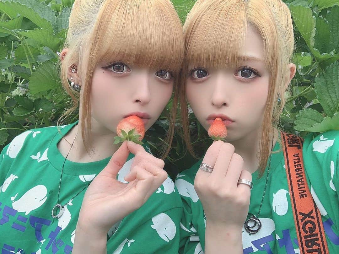 くにくにのインスタグラム：「・ ・ 🍓♡🍓♡🍓♡🍓♡🍓♡🍓♡🍓 ・ ・ ♡🍓人生初いちご狩り🍓♡ ・ ・  #くにくに #双子 #ツインズ #金髪 #アイドル  #IDOL #JAPAN #福井 #ファッション#twins #KUNIKUNI #ootd #twinsfashion #코디 #패션 #cute  ・ ・ 🍓♡🍓♡🍓♡🍓♡🍓♡🍓♡🍓」