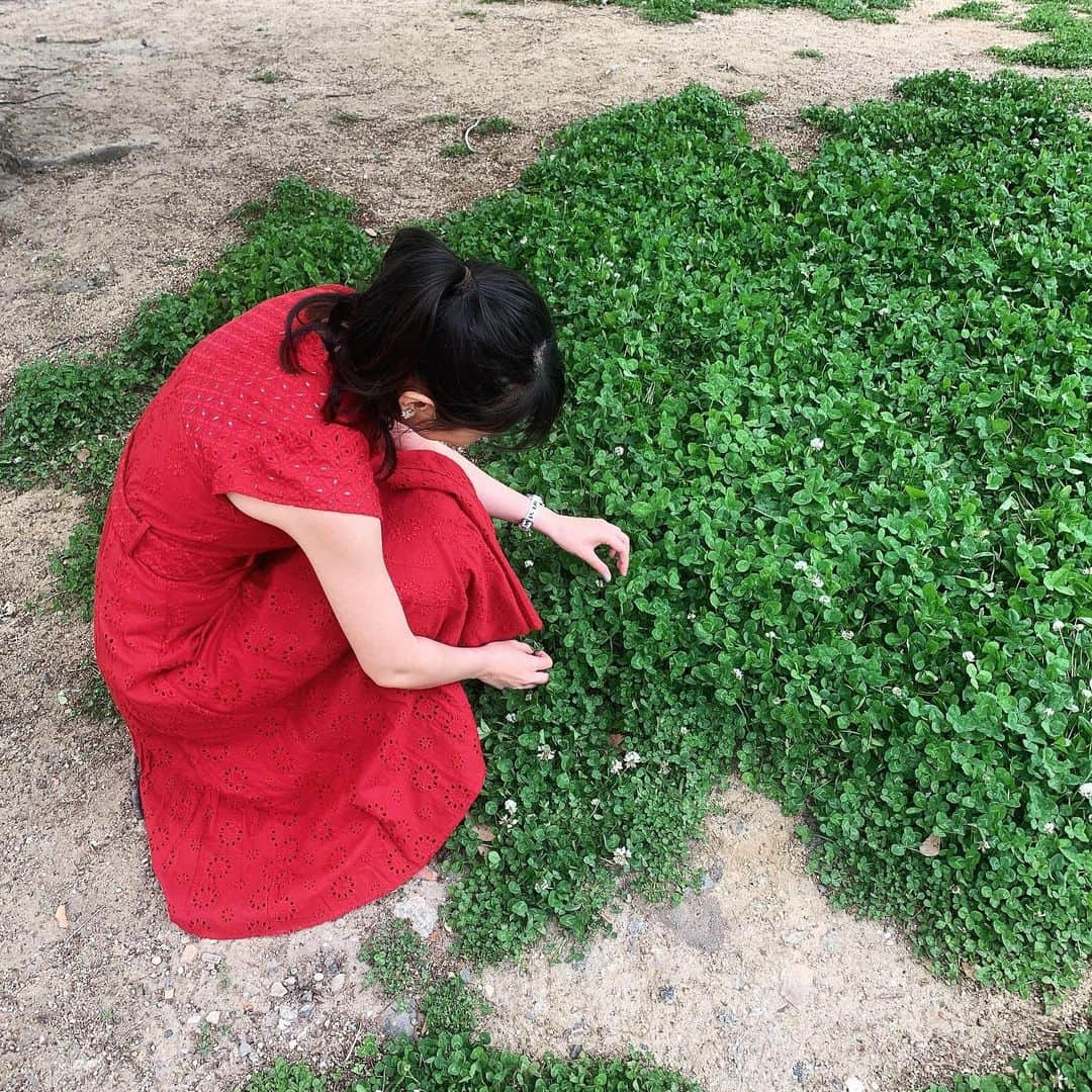 高橋沙織さんのインスタグラム写真 - (高橋沙織Instagram)「ずっと憧れだった赤いワンピース。 いっぱい写真撮ったから、いっぱい載せます♪ #どのさおりんがお気に入り？ #アルミカン高橋 #アルミカンさおりん #赤ワンピ #情熱的な女 #ワンピース #redyazel  #公園フォト  #おしゃれ芸人への道」5月5日 22時47分 - arumikan_saorin