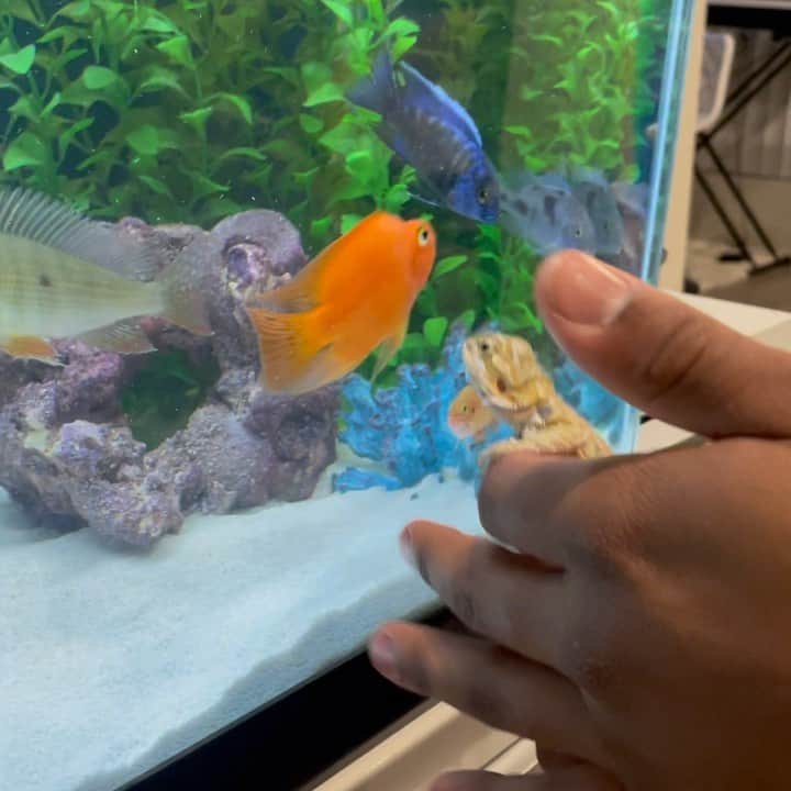 テイラー・グラブスのインスタグラム：「new video up... meet this lil baby✨」