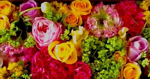 夏木マリさんのインスタグラム写真 - (夏木マリInstagram)「#おはようシリーズ #箱からシリーズ #お花シリーズ #サニーサイドアップ #goodday  美しいお花と champagneが届きました  今日もよい日に........」5月6日 9時57分 - mari_natsuki