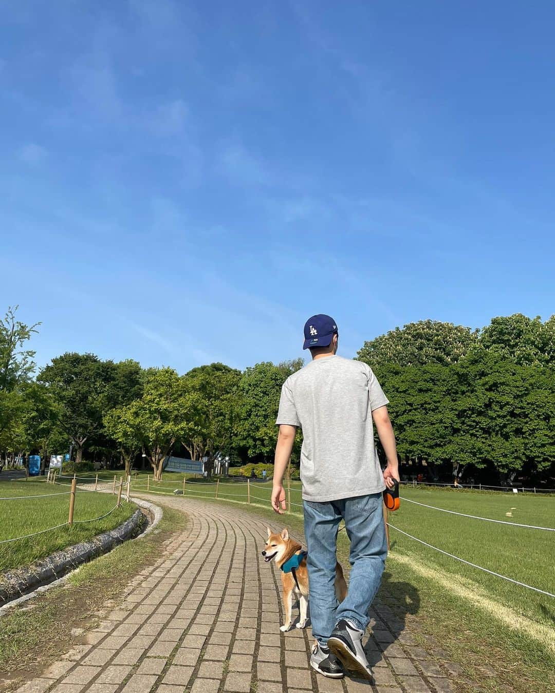 Jongkook Shinさんのインスタグラム写真 - (Jongkook ShinInstagram)「날씨가 참 좋았던 ☀️  . #올림픽공원#산책#소풍#picnic#picnicday#시바견#시바#시바이누#散歩#ピクニック#seoul#ソウル#서울#柴犬#しばいぬ」5月6日 20時08分 - jongkookshin