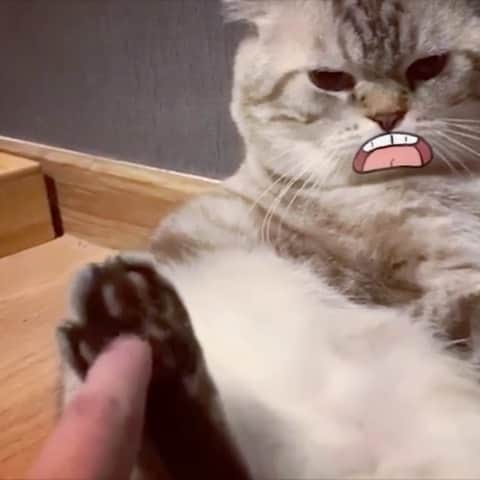 のインスタグラム：「บางที อารมณ์ไม่ดีเหมือนหน้าตา」
