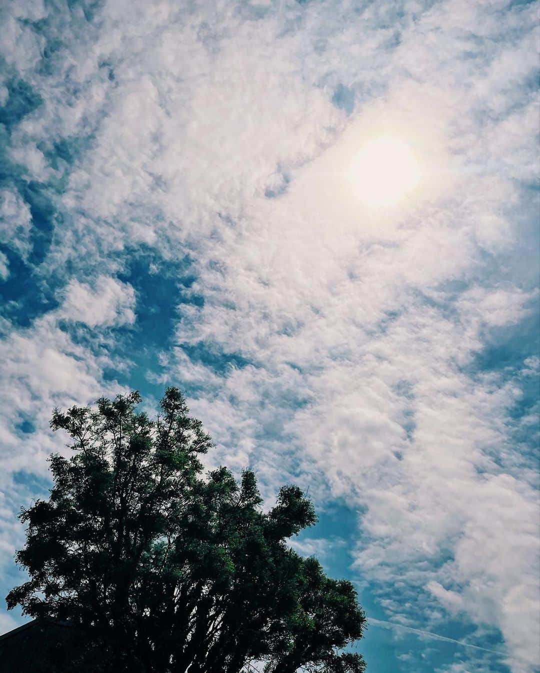 のインスタグラム：「絵の具で描いたみたい🤍☁️💭」