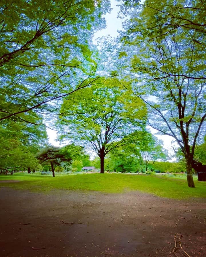 谷川じゅんじのインスタグラム：「Cycle of life. 初めて出会ったのは表参道。再会は代々木公園。強面だけど物静かなdog lover。またいつか。#rip #goodvibesonly #goodneighbors #thisisjapan」