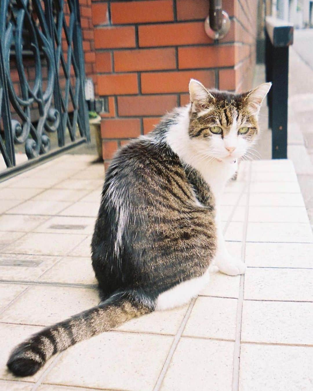 小田飛鳥のインスタグラム