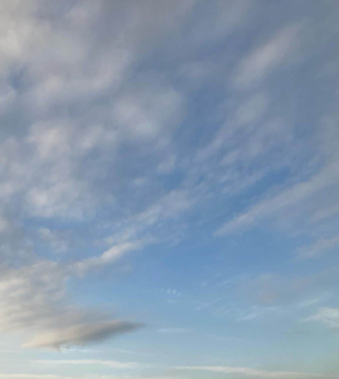 半井小絵さんのインスタグラム写真 - (半井小絵Instagram)「風が心地よい季節です。  落ち着かない日々が続きますが、気分転換も大切ですね🌿  #上を向いて」5月6日 17時51分 - sae_nakarai