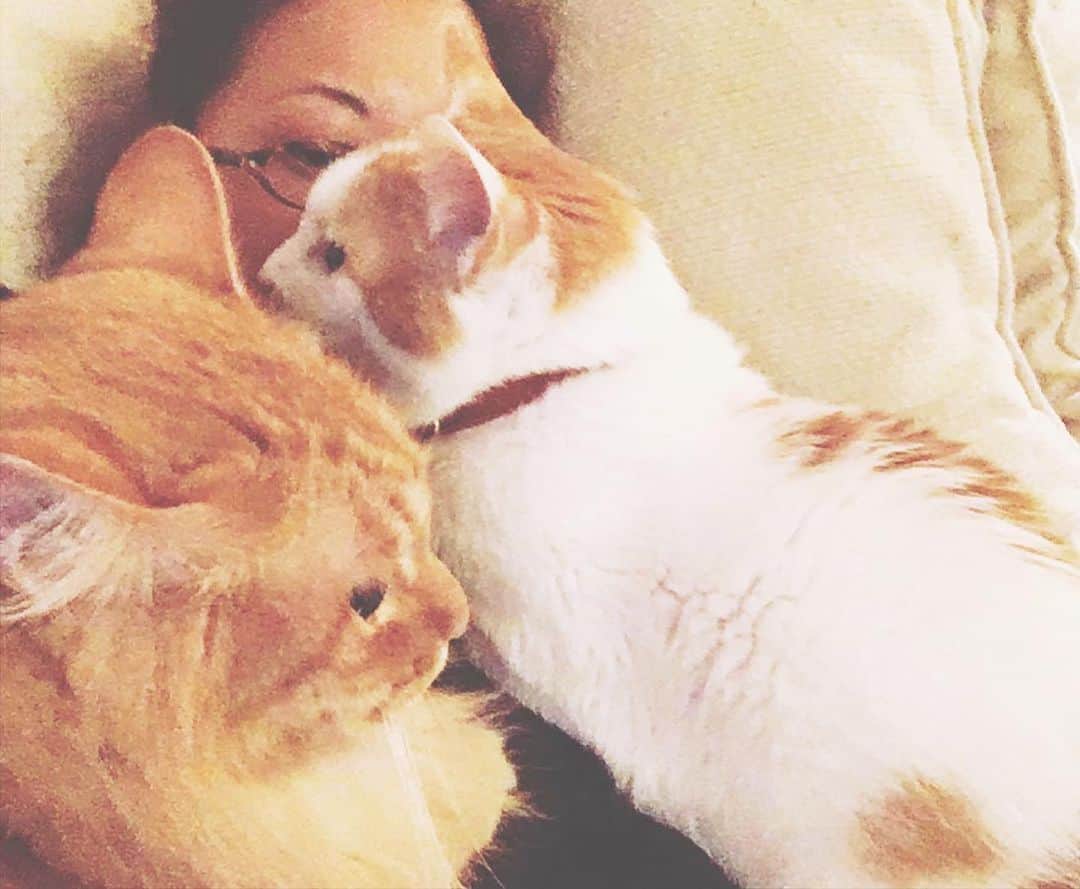 猫沢エミのインスタグラム