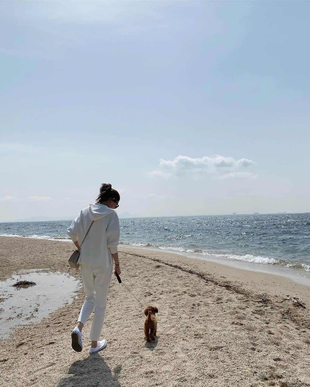 王子咲希(saki ouji)さんのインスタグラム写真 - (王子咲希(saki ouji)Instagram)「. . 散歩🐶🐾 . .  #ティーカッププードル  #トイプードル #いぬすたぐらむ  #いぬのいる暮らし  #いぬのきもち #dogstagram」5月6日 21時22分 - sakiouji