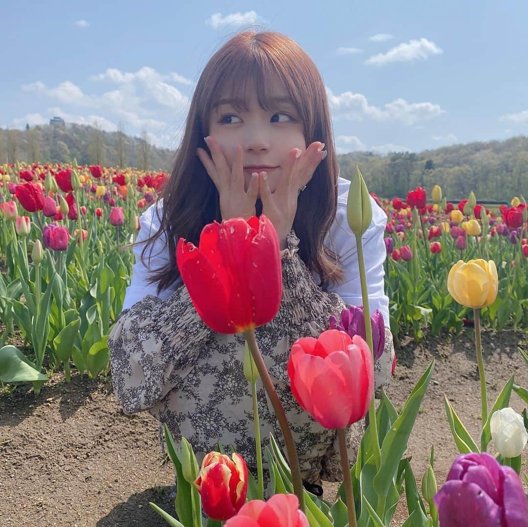 清司麗菜さんのインスタグラム写真 - (清司麗菜Instagram)「🌷🌷🌷🌷🌷 . #国営越後丘陵公園  #長岡#チューリップ畑」5月6日 22時00分 - seiji_0007