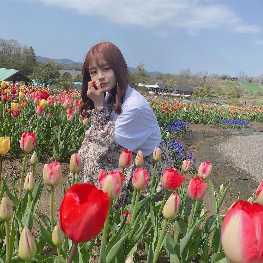 清司麗菜さんのインスタグラム写真 - (清司麗菜Instagram)「🌷🌷🌷🌷🌷 . #国営越後丘陵公園  #長岡#チューリップ畑」5月6日 22時00分 - seiji_0007