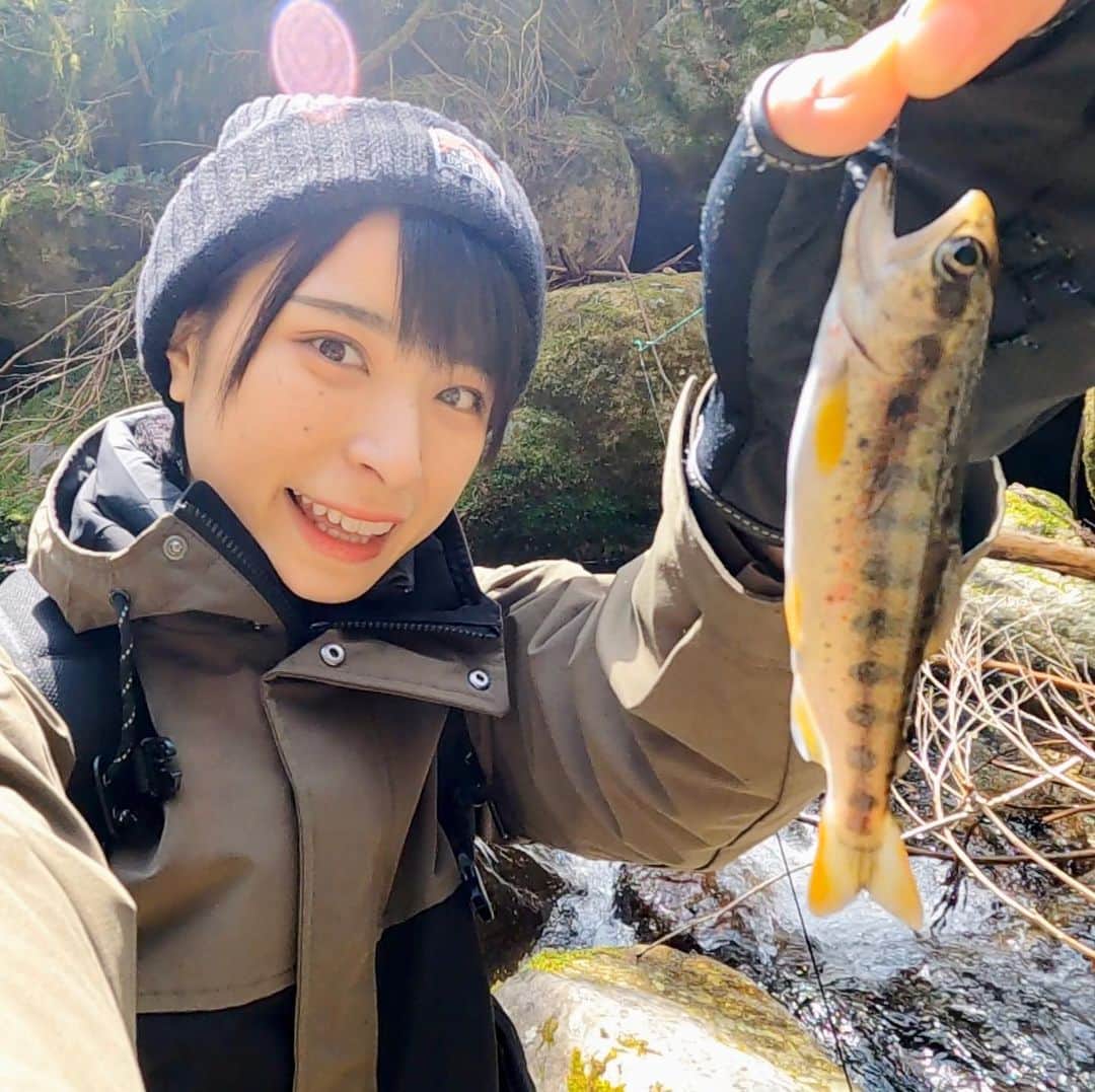 かほなんのインスタグラム：「🏝お知らせ🏝  📺メ〜テレ 5/8(土) あさ6:30〜 ドデスカ！ドようびデス。  に、今週も出演します！！👏👏 生放送です！朝からぱっちりいきましょー！！ 東海地方の楽しい情報盛り沢山☺️✨お楽しみに！  あ、この渓流釣りの写真はあんまり関係ないですが、YouTubeで「お気に入りだったけどボツにしたカット」&「お気に入りカット」です☺️笑  アマゴ綺麗〜〜！美味しい！すき！  #ドデスカ #ドデスカドようびデス  #さばいどる #かほなん #渓流 #渓流釣り #アマゴ」