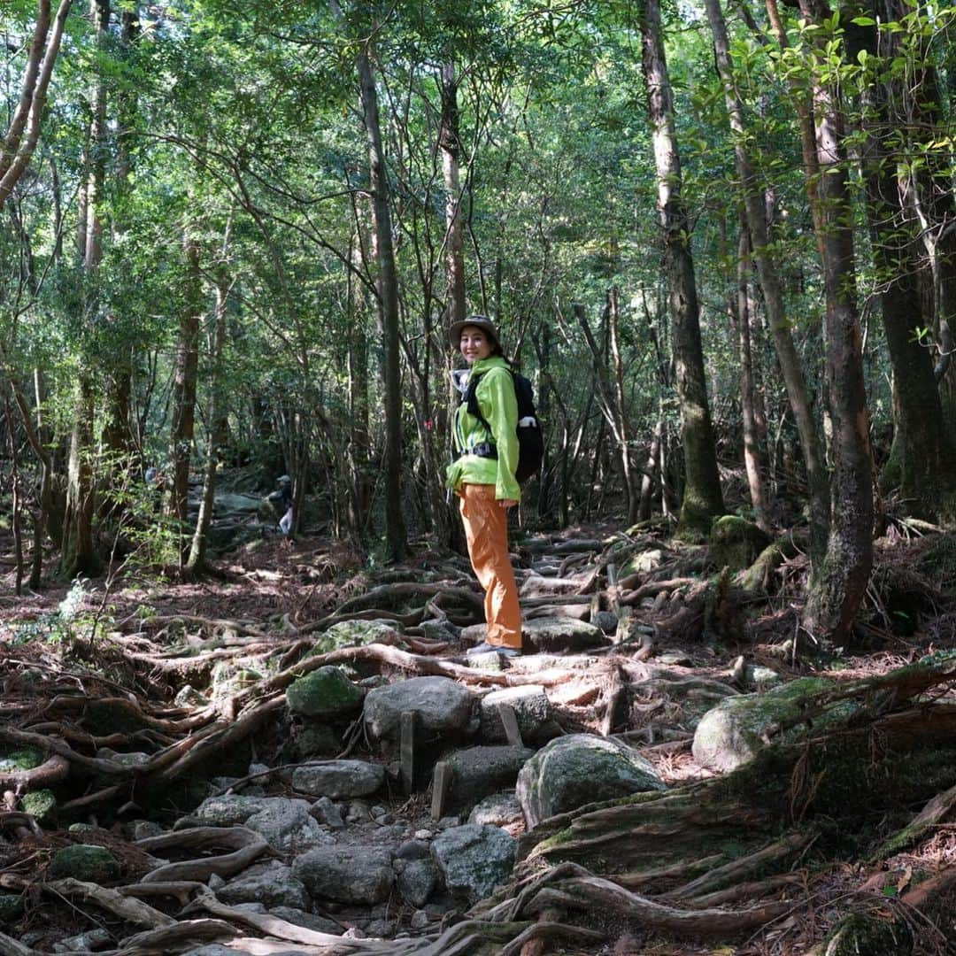 飛河蘭さんのインスタグラム写真 - (飛河蘭Instagram)「山記録2021⛰ 朝4時起きからの7時間の山歩きは辛かった。 ご無沙汰だけど、とりあえず私は元気です🙋‍♂️ 今年こそ富士山行きたい🗻 仲間募集中🏕  #今年初登山 #屋久島  #山女」5月6日 23時30分 - chihiro94ran