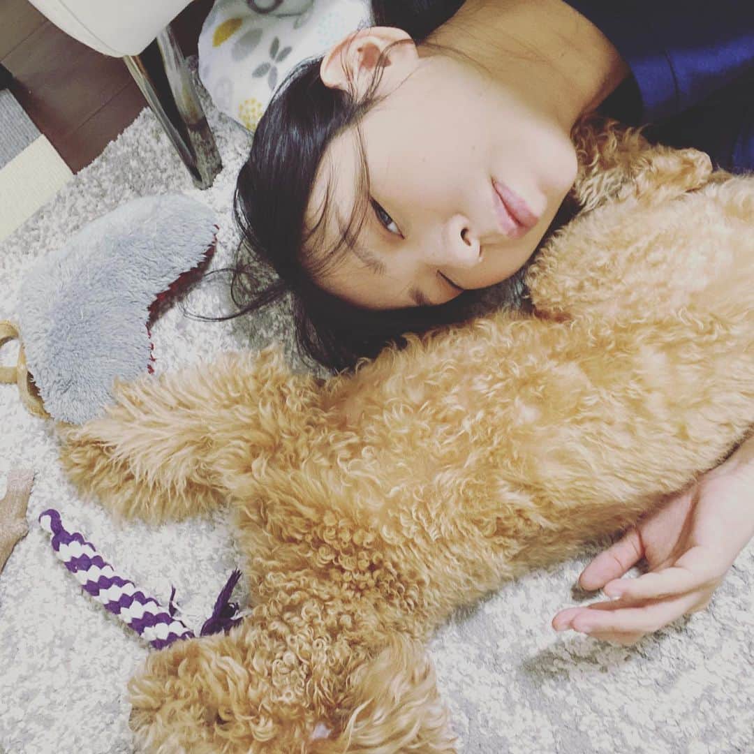 古川未鈴のインスタグラム：「. . さてさて。 妊娠後期に入ってきまして。 すこぶる体調が悪いです。 ここにきてって感じですねぇ。 . . とにかく貧血みたいになったり 眠れなくなったり 子宮がチクチクしたり たまに針でぶすっと刺されたみたいな 思わず「痛い！」と叫んでしまうような。 胃もたれがすごかったり。 . . . しかしちょっとした心境の変化もあります。 エコー写真で顔がはっきり写ったのが初めて見れて おお、、、となってるのですが 今までよくわからなかった愛着？みたいなのが湧き始めました。 お腹の中に生物がいる、、！なんてこった、、！すげー！ くらいだったのが 赤ちゃんかぁ、、よしよし。みたいな。 露骨に現れたのが夢の内容ですね。 妊娠をしてからというもの 夢を見ない日がないのかですが 赤ちゃんの夢をかなりの確率で見るようになりました。 ただ、不安になるような中身が多いので毎回つかれます。 . . .  検診で言われたびっくりなこと。 とにかく吐き気や眩暈がすごい、と伝えたら 「ブラしてるでしょ？」 と言われ。 ワイヤー入りの下着は早々に辛くてつけてなかったのですが やはり表に立つもの。胸の形は綺麗に保ちたい！と思ってノンワイヤーでも多少はきっちりしてるものを付けてたのですが 今すぐにでもやめた方がいいとのことで。 胸の下に締め付けがくるのが不調の引き金になってるかもしれないとのことで。 カップ付きのキャミとかがいいみたいですね。 なるほどー。その発想はなかった、、。 . . . そして逆子発覚。 大体はここから正常に戻るらしいのですが！ さてさて。どうなることやら！ 毎日が発見の連続です。 それではまた！ . . . . #dempagumi  #pregnant」