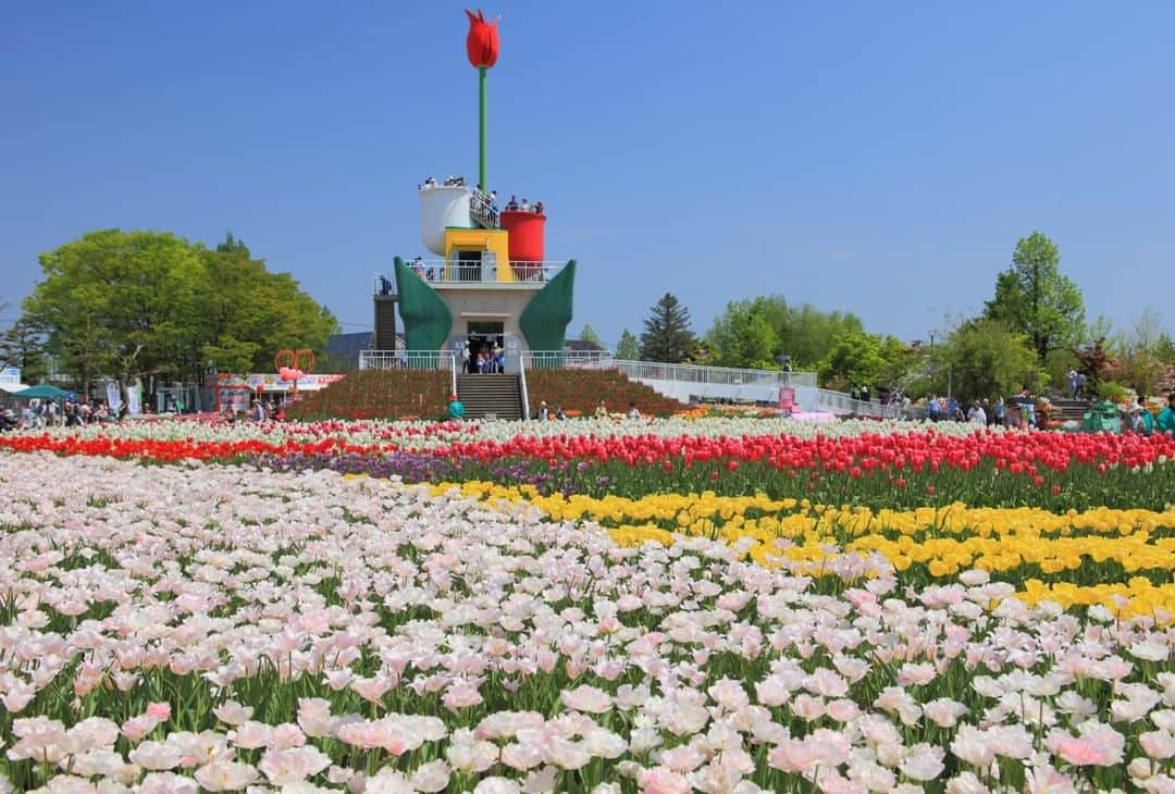 THE GATEのインスタグラム：「🌷Tonami Tulip Park🌷 #Toyama #Japan  . The Tonami Tulip Park is located in Tonami city of Toyama prefecture.  . This spot has an assortment of flowers that can be enjoyed all year round.  . In the spring, 3 million tulips bloom and in the summer, bright, colorful canna lilies bloom proudly.  . ————————————————————————————— Follow @thegate.japan for daily dose of inspiration from Japan and for your future travel. Tag your own photos from your past memories in Japan with #thegatejp to give us permission to repost ! . Check more information about Japan. →https://thegate12.com/spot/1184 →@thegate.japan . #japanlovers #Japan_photogroup #viewing #Visitjapanphilipines #Visitjapantw #Visitjapanus #Visitjapanfr #Sightseeingjapan #Triptojapan #粉我 #Instatravelers #Instatravelphotography #Instatravellife #Instagramjapanphoto  #tulips  #flowers #traveljapan #🇯🇵 #flowerstagram」