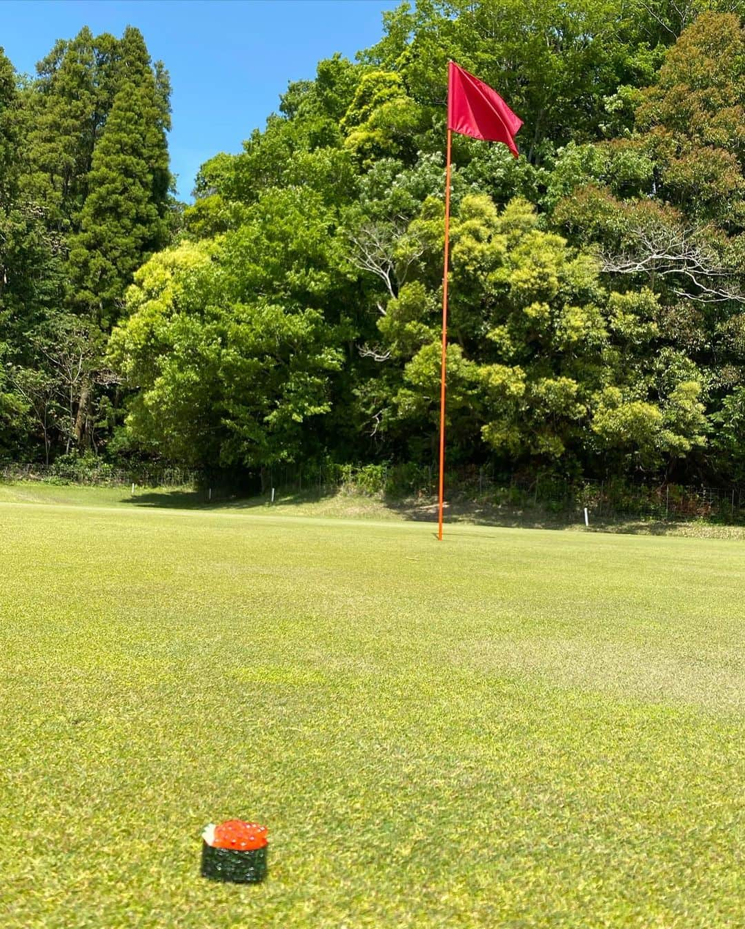 CHIHAさんのインスタグラム写真 - (CHIHAInstagram)「Golf🏌️‍♂️❤️﻿ ﻿ まだまだ本当下手くそで、早く周りの人に迷惑かけないくらいに上達したい🥺‼︎﻿ ﻿ 身内の方お誘いお願いします🌸﻿ ﻿ ﻿ ﻿ #ゴルフ #ゴルフ女子 #ゴルフ女子コーデ #ゴルフ初心者 #ゴルフファッション #ゴルフウエア #キャロウェイ #golf #golfstagram #callaway #callawaygolf #千葉県 #ムーンレイク鶴舞」5月7日 11時12分 - chiha6170