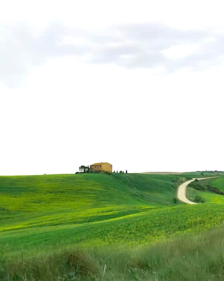 Putri Anindyaのインスタグラム：「Pov : you’re driving through Tuscany hills in spring 🍃  Obsessed with ylang ylang by @frenchkiwijuice so I made this. Hope this will freshen up your mind a little.」