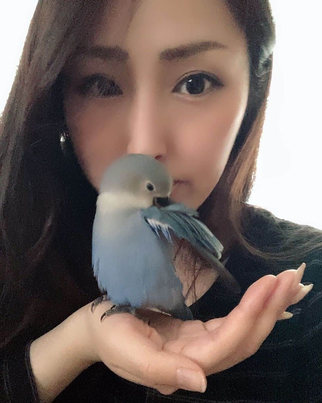 佐藤小巻のインスタグラム