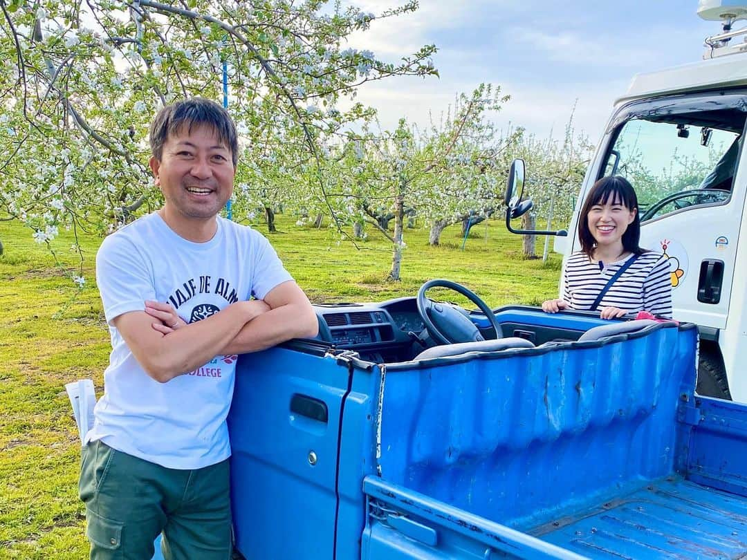 服部未佳さんのインスタグラム写真 - (服部未佳Instagram)「明日の旅サラダは 青森県弘前市から生中継🍎 朝8時から、全国放送です。 青森の方は、ハッピィも続けて！ ぜひご覧ください✨  今朝、出社したら… デスクのカレンダーにメッセージが… ユイティさんからでした😭❤️  #旅サラダ #りんごの花 #岩木山 #りんご農家 が作る #シードル #高橋さん #お世話になります #😁  #ユイティ #高坂友衣 さん #ありがとうございます #🥰」5月7日 21時35分 - mikahattori_aba