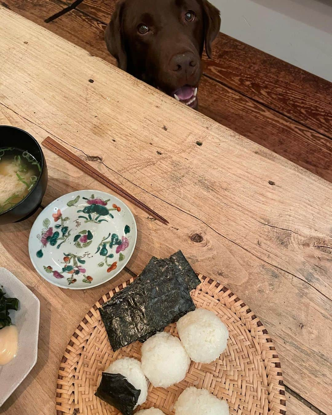 masakiさんのインスタグラム写真 - (masakiInstagram)「森食堂まかない トマトとわかめ 昨日の油で小海老フライ キャベツも一緒に水餃子 塩むすびと味噌汁 ずっとあ〜ん♡してるだよ」5月7日 22時53分 - mogurapicassowols